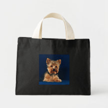 Chiot de Yorkshire Terrier Sac En Toile