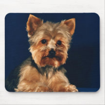 Chiot de Yorkshire Terrier Tapis De Souris