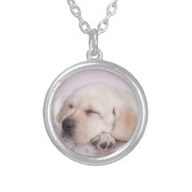 Chiot jaune de labrador retriever collier