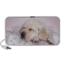Chiot jaune de labrador retriever haut-parleur ordinateur portable