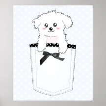 Chiot mignon de poche affiche