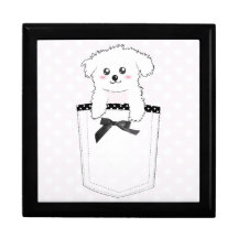 Chiot mignon de poche boîtes à babioles