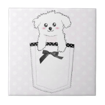 Chiot mignon de poche carreau