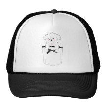 Chiot mignon de poche casquette de camionneur