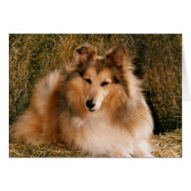 Chiot mignon parfait d'image carte de vœux