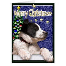 Chiot noir et blanc de border collie carte de vœux