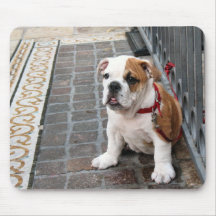 chiot tapis de souris