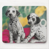 Chiots dalmatiens Mousepad tapis de souris
