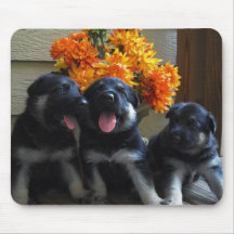 Chiots de berger allemand tapis de souris