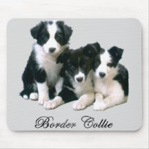 Chiots de border collie tapis de souris
