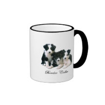 Chiots de border collie tasse à café