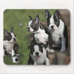 Chiots de Boston Terrier tapis de souris
