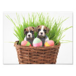 Chiots de boxeur de Pâques Photographie D’art