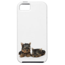 Chiots de Yorkshire Terrier Coque iPhone 5 Case-Mate