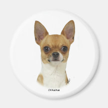 Chiwawa 9W092D-032 Aimants Pour Réfrigérateur