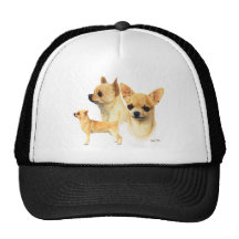 Chiwawa Casquette
