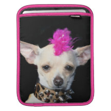 Chiwawa de rocker punk poches iPad