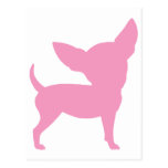 Chiwawa drôle rose carte postale