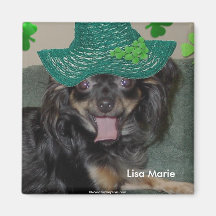 Chiwawa mignon adorable de Lisa Marie Magnets