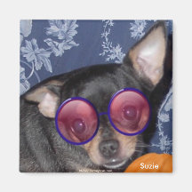 Chiwawa mignon adorable de Suzie Doozie Aimants Pour Réfrigérateur