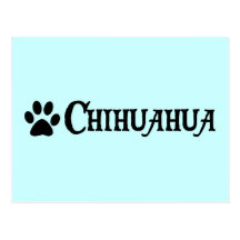Chiwawa (style de pirate avec le pawprint) carte postale