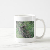 Chose de Thwe Tasse À Café