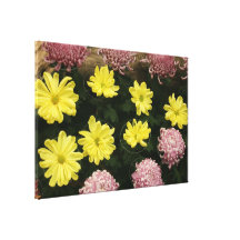Chrysanthème Toile Tendue Sur Châssis