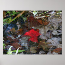 Chute sous l'affiche de l'eau