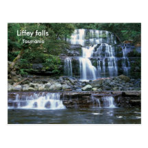 Chutes de Liffey, Tasmanie Cartes Postales