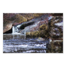 Chutes de ressort photographies d’art