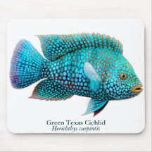 Cichlid Mousepad de Carpintis le Texas Tapis De Souris