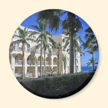 Ciel bleu de palmiers de Cabo San Lucas Mexique magnets