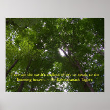 Ciel complètement des arbres posters