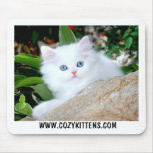 Ciel confortable de chatons sur terre tapis de souris