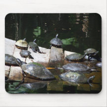Ciel de tortue tapis de souris