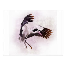 Cigogne Cartes Postales