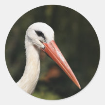 Cigogne - symbole de Strasbourg et d'Alsace, Franc Autocollants