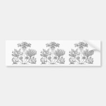 Ciliates Autocollant Pour Voiture