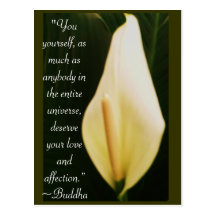 Citation de Bouddha Cartes Postales