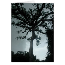 Citation de l'arbre de Ceiba W Carte