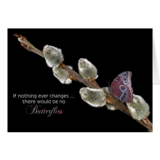 Citation de papillon cartes