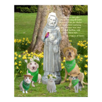Citation de St Francis posters