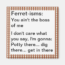 Citations Furet-ISM drôles Magnets