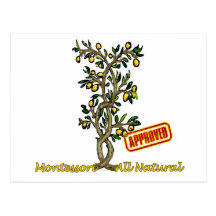 Citronnier de Montessori Carte Postale