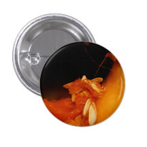 Citrouille Badges