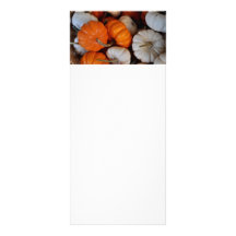 Citrouille Delite Doubles Cartes