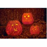 Citrouilles découpés décoratifs uniques découpages en acrylique