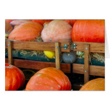 Citrouilles et courge carte de vœux