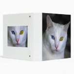 Classeur angora turc de chat