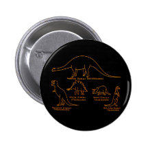 Classification de dinosaure pin's